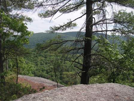 Overlook, Jamaica St Pk, 30May08